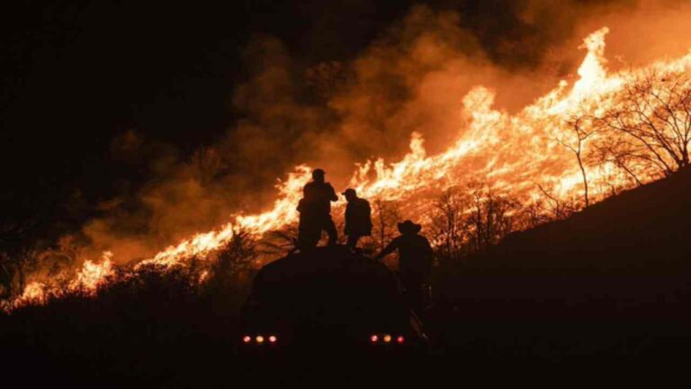 Turquía evacúa a casi 4.000 personas por incendios en cinco provincias