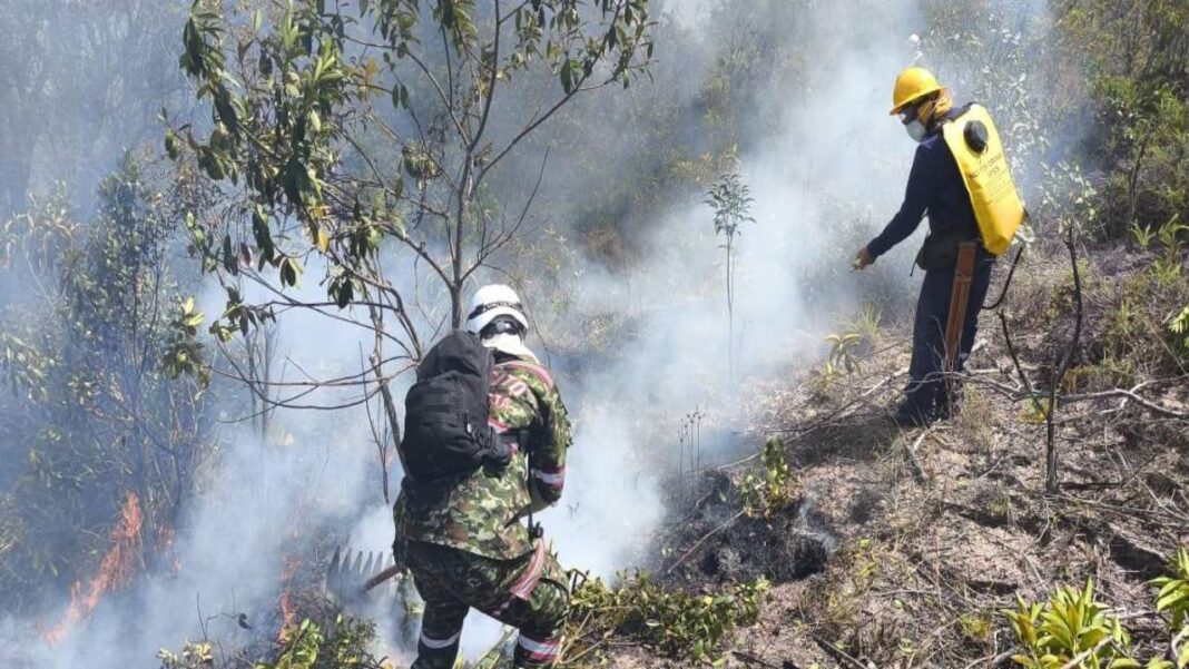 Corte Suprema de Brasil ordena a Lula movilizar militares y policías contra los incendios forestales