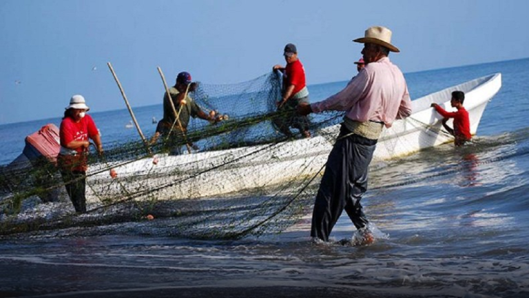 Venezuela exporta más de 100 toneladas de productos pesqueros a China y Estados Unidos