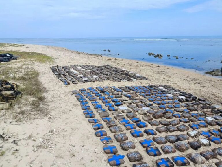 Incautan más de 1.200 panelas de droga en Paraguaná