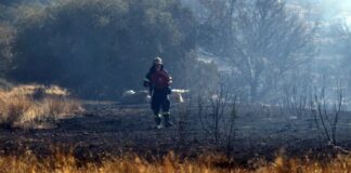 Dan por controlado el gran incendio que quemó 10.000 hectáreas en las afueras de Atenas