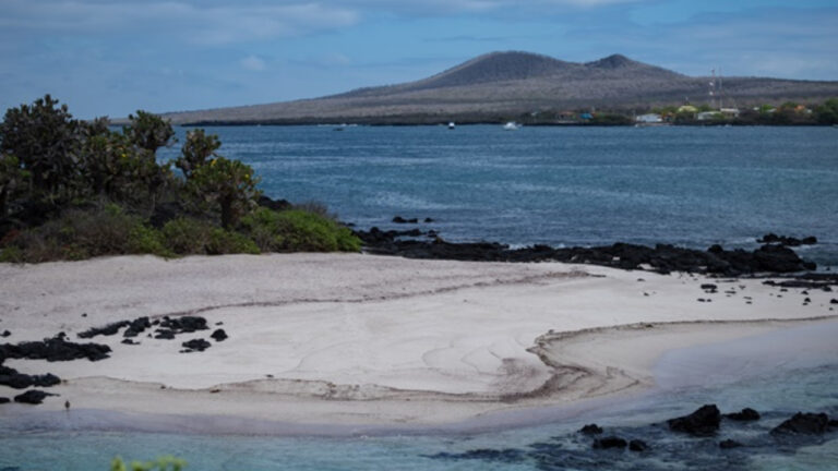 Científicos, drones, IA y Leonardo DiCaprio se unen para restaurar una de las islas Galápagos