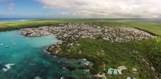 Estudio científico revela cambios en los cantos de los cucuves en islas de Galápagos