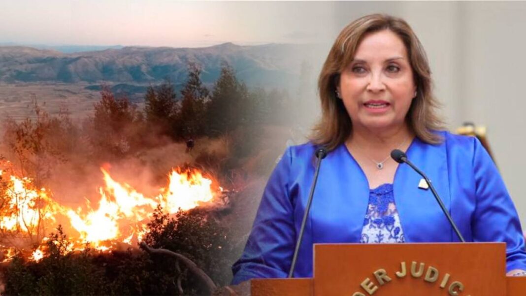 Boluarte presentó proyecto de ley enfocado en la prevención y combate contra los incendios forestales