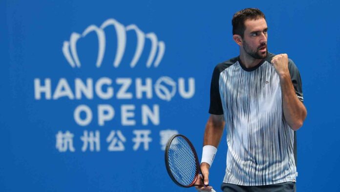 Cilic logró su primer título en tres años