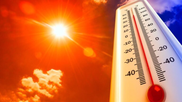 Olas de calor de 2022 y 2023 superaron las variaciones climáticas de últimos 1.000 años