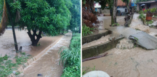 Fuertes lluvias en Guárico causaron inundaciones en al menos 10 sectores