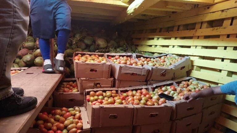 Exportaciones desde el estado Falcón hacia las islas ABC se incrementó en el primer trimestre de 2025