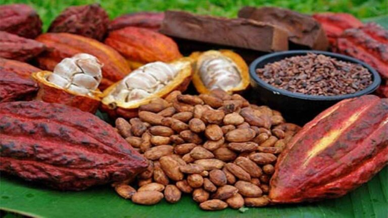La reina de España valora los microcréditos para pymes latinoamericanas como las del cacao