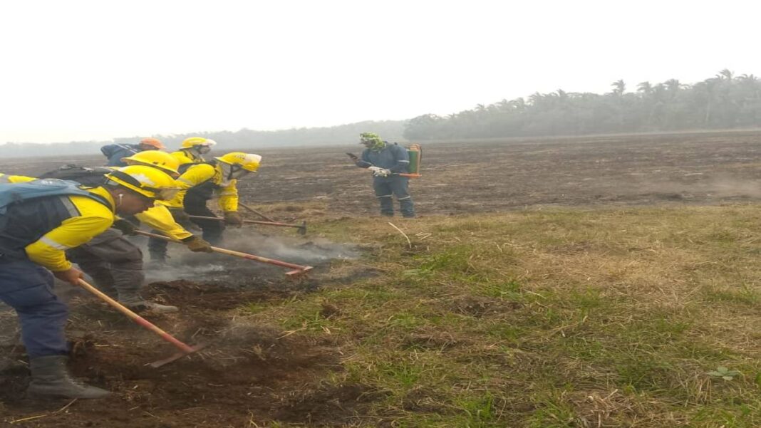 Fuerza de Tarea Humanitaria GJ Simón Bolívar continua brindando apoyo en la mitigación de incendios de Bolivia