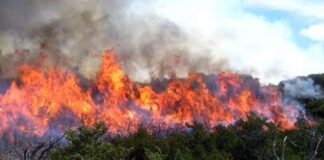 Al menos 36 viviendas son destruidas por incendio urbano en ciudad de la Amazonía de Perú