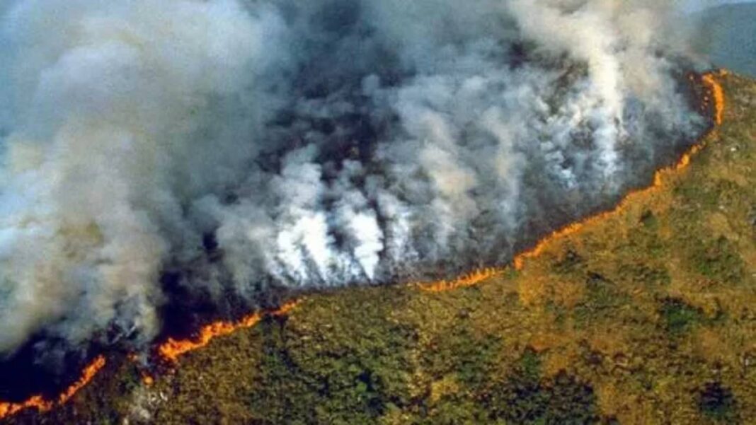 Dos incendios forestales cubren con espeso humo el norte de la capital ecuatoriana