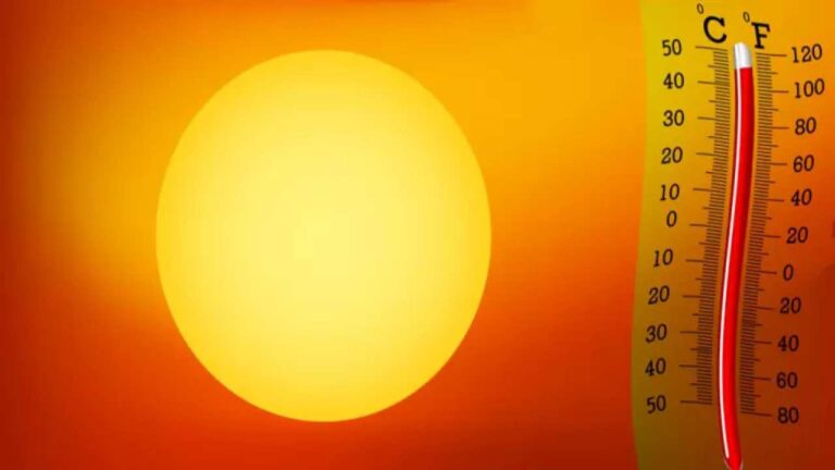 Olas de calor de 2022 y 2023 superaron variaciones climáticas de últimos 1.000 años
