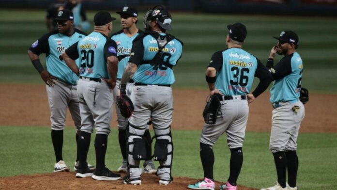 LVBP: Bravos y Leones tomaron respiro y Tiburones mantiene la cima