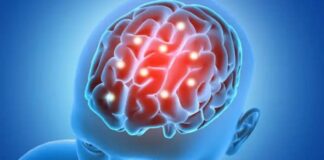 Ciencia: Muestran por primera vez las vías del cerebro para eliminar sus residuos