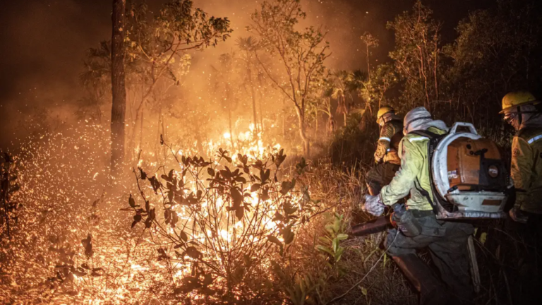 Brasil pide al Congreso más recursos para combatir los incendios