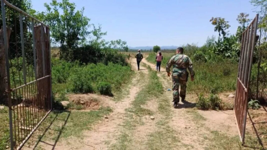 Gobierno de Milei quitará plantaciones ilegales de bolivianos en frontera con Argentina