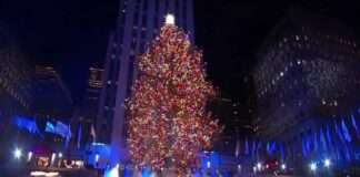 El árbol de Navidad del Rockefeller Center llega a Nueva York para inaugurar la temporada