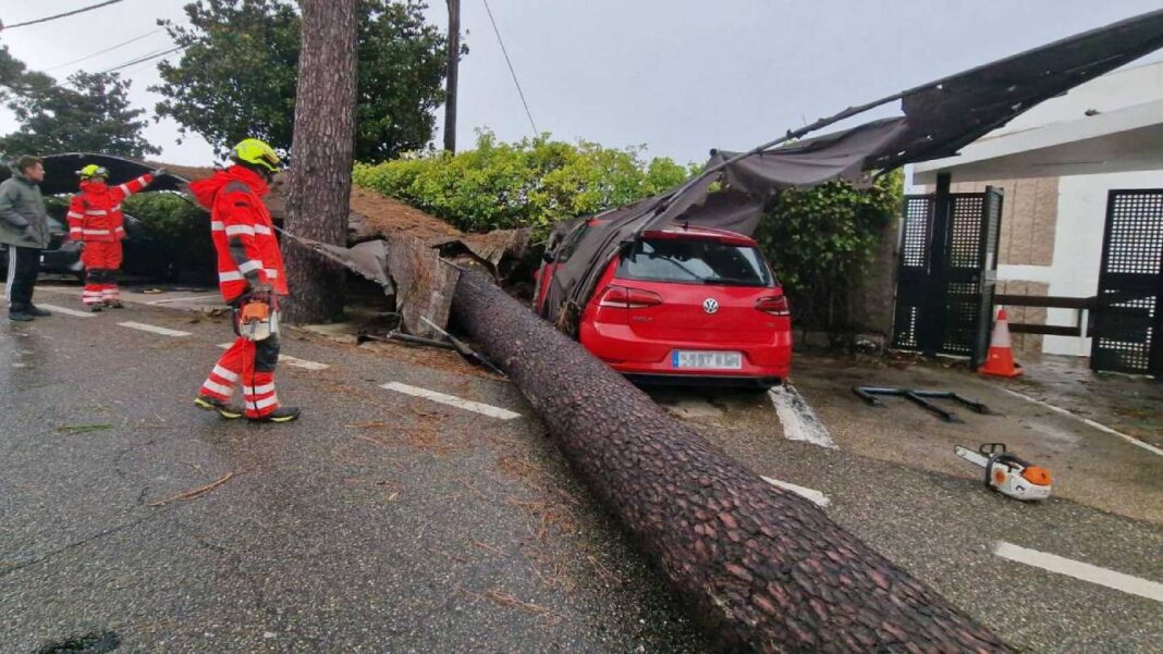 Un muerto en Inglaterra por la caída de un árbol en la tormenta Bert que azota Reino Unido