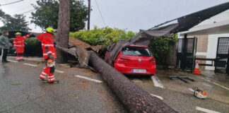 Un muerto en Inglaterra por la caída de un árbol en la tormenta Bert que azota Reino Unido