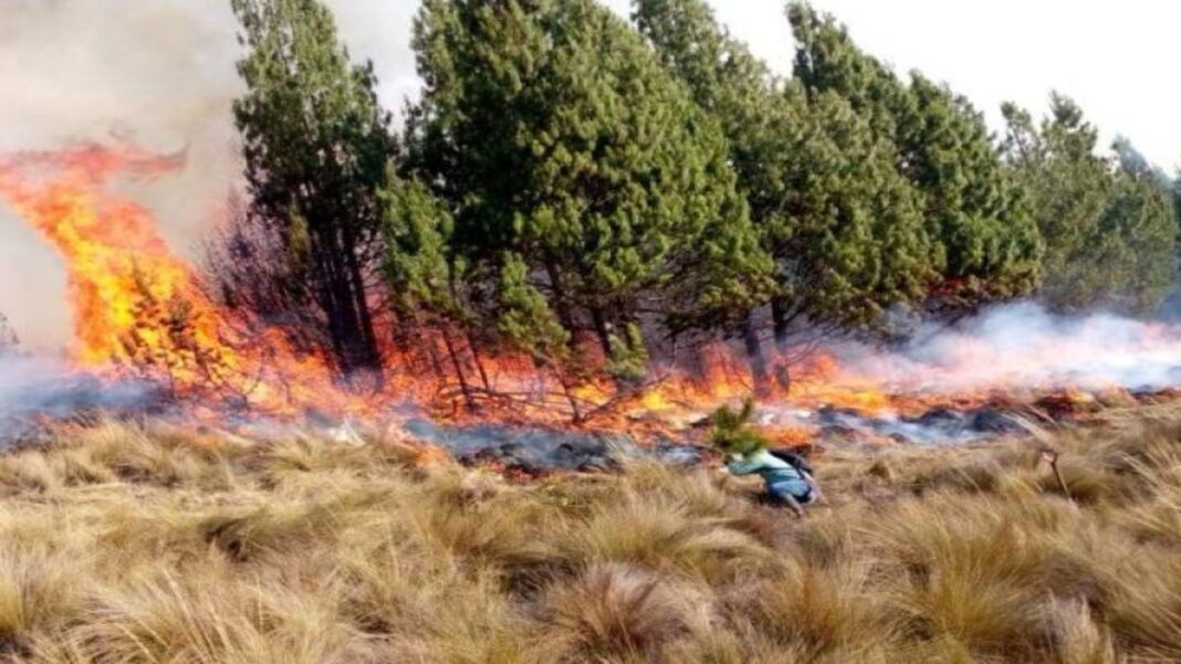 Declaran emergencia nacional en Ecuador por incendios, déficit hídrico y sequía