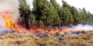 Declaran emergencia nacional en Ecuador por incendios, déficit hídrico y sequía