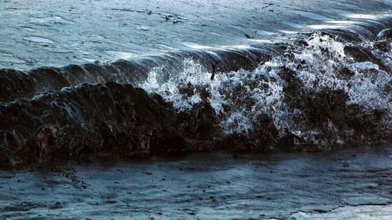 Putin ordena crear grupo de trabajo para liquidar secuelas del vertido en el mar Negro