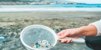 Españoles y portugueses crean un modelo matemático para detectar microplásticos en el mar