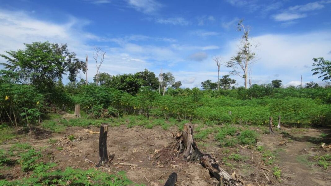 Gobierno impulsa prácticas agrícolas 