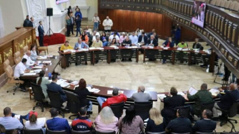 Entre 30 y 35 leyes aspira aprobar la Asamblea Nacional en 2025