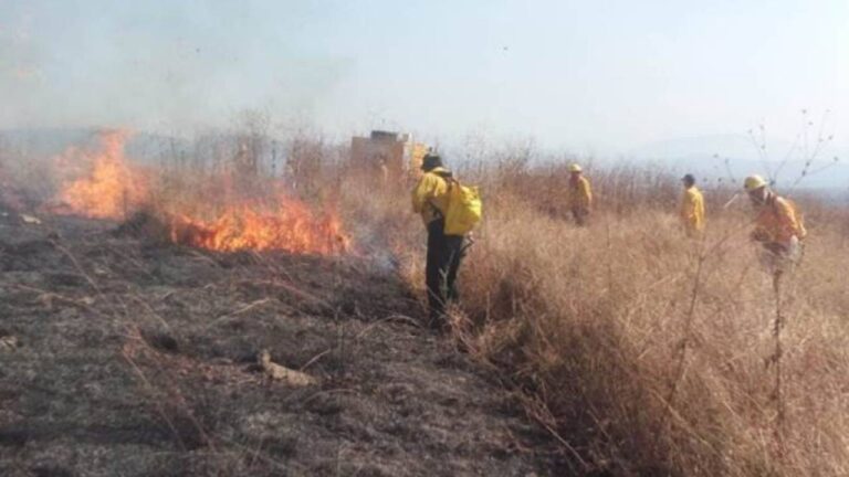 Médicos en San Juan de los Morros advierten que incendios forestales provocan aumento de enfermedades