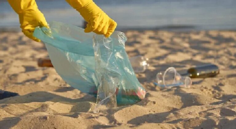 Reconet organiza limpieza de playas mirandinas en temporada de Carnaval