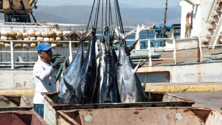 Pescadores industriales piden subsidio para reiniciar las faenas