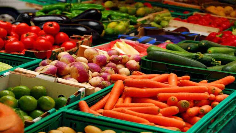#Análisis Aranceles EEUU amenazan exportaciones agrícolas de Latinoamérica