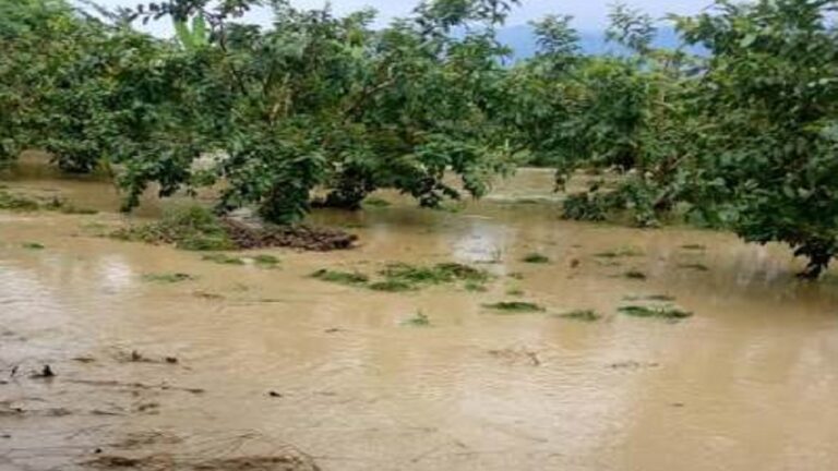 Al menos ocho comunidades del municipio Sucre se mantienen afectadas por lluvias en el Zulia