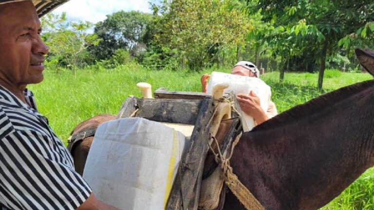 Clarines impulsa turismo con producción local
