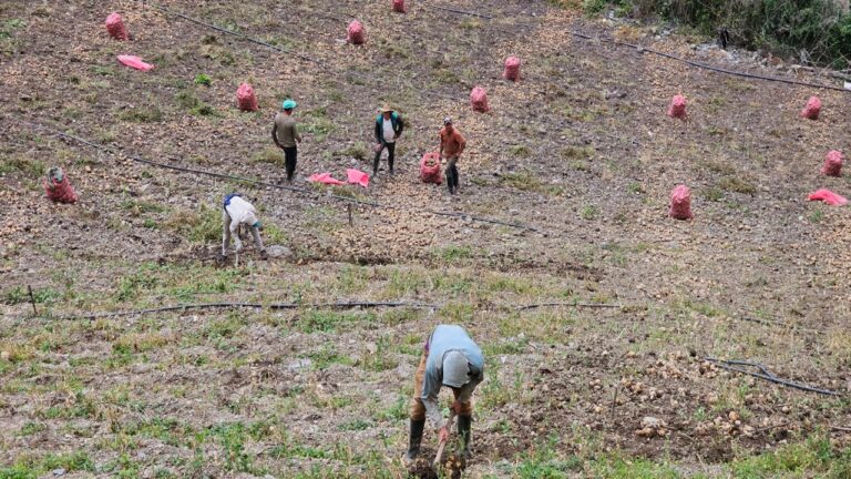 Productores de Mérida denuncian que malas condiciones de las vías afecta traslado de rubros