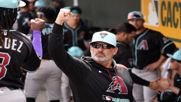 Torey Lovullo