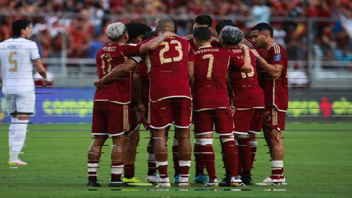 Vinotinto