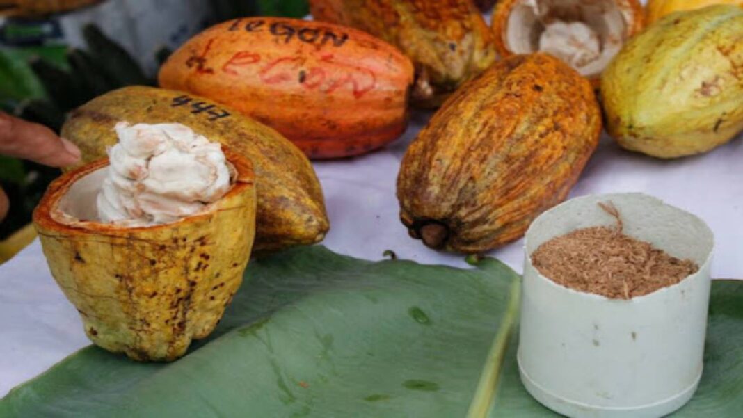 Feria del Pan, Café Cacao y Miel se realizará este fin de semana en Táchira