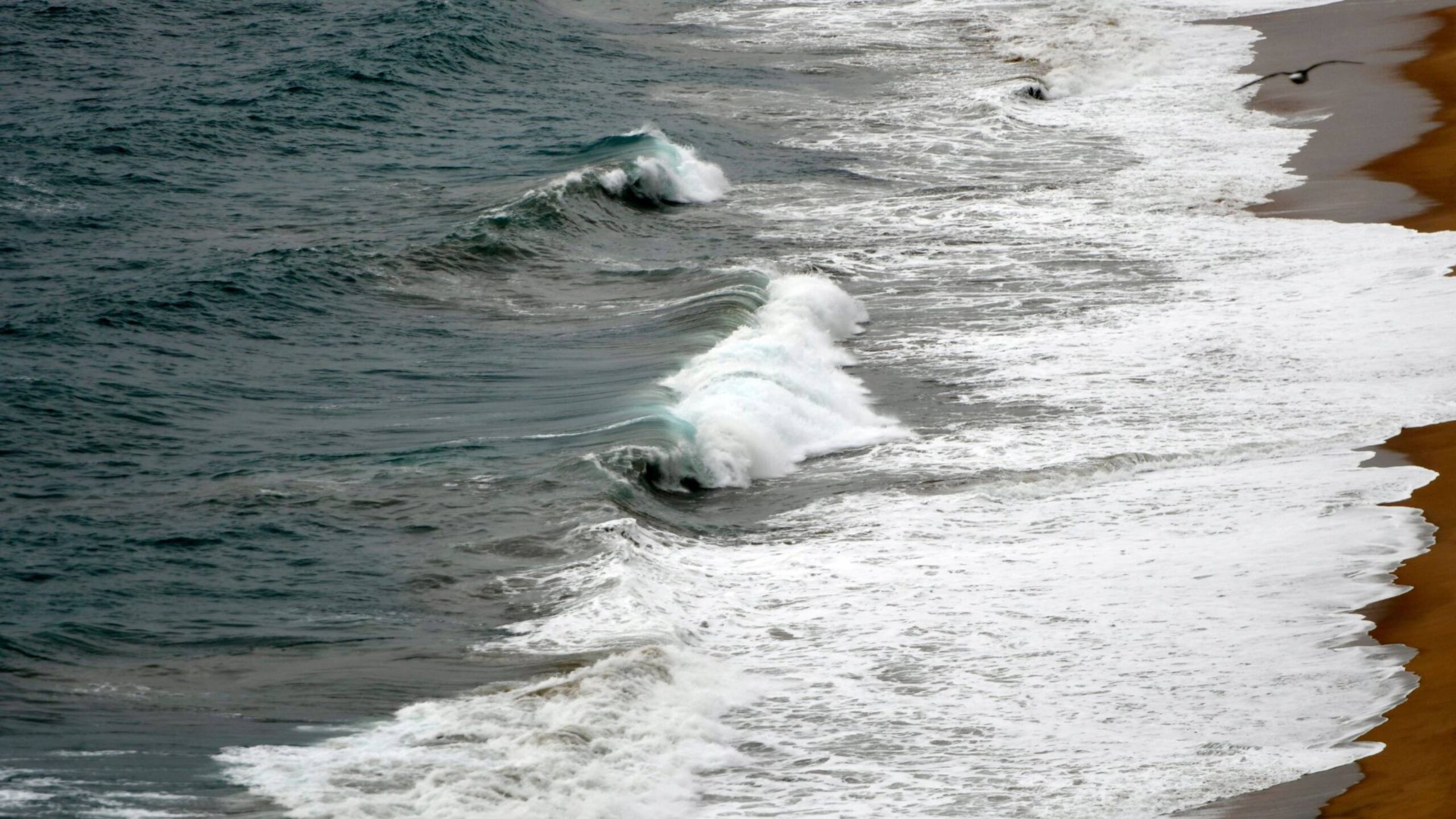 Olas de entre 30 y 40 centímetros sacuden la costa de Chile, en alerta por tsunami