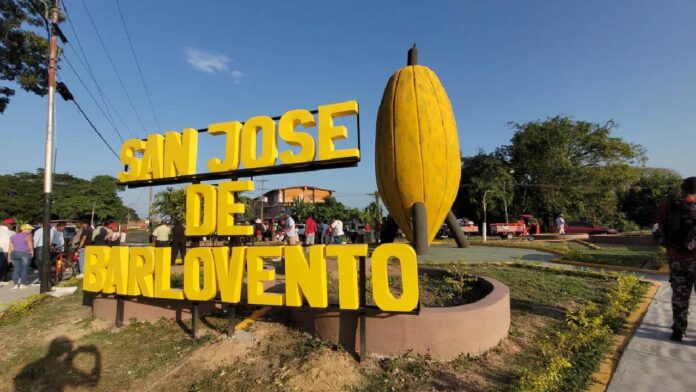 Proyecto nuevo (34)