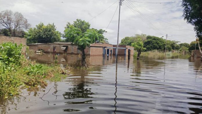 Foto: Carlos Suniaga