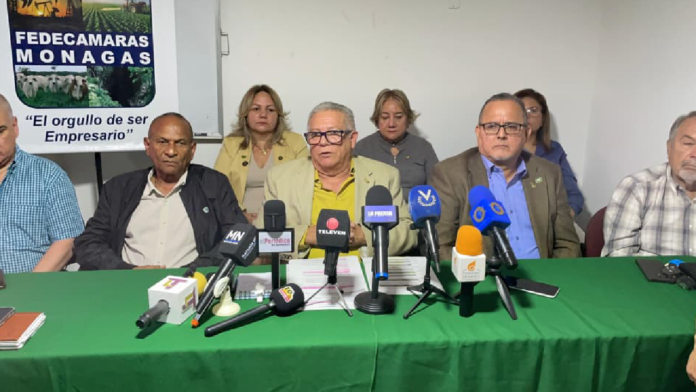 Proyecto nuevo