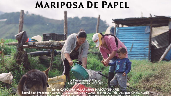 Proyecto nuevo (9)