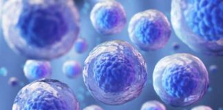 Foto: clinicadermatologicainternacional.com