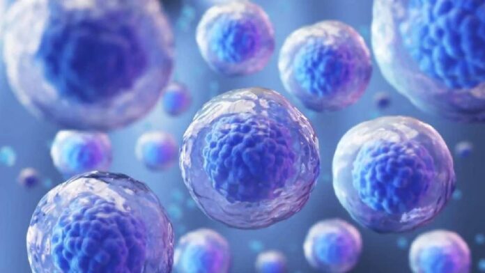 Foto: clinicadermatologicainternacional.com