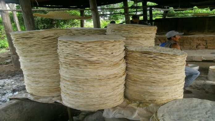 produccion-casabe-bolivar