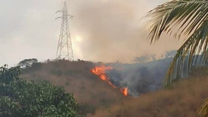 Aragua