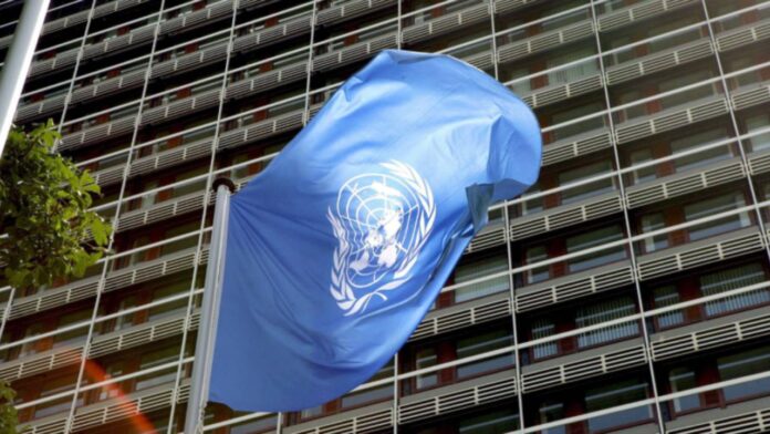 Bandera ONU